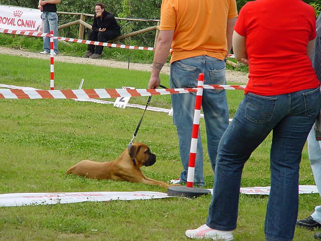 Immagine 011.jpg